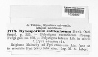Image Associated With the Occurence